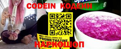 индика Кулебаки