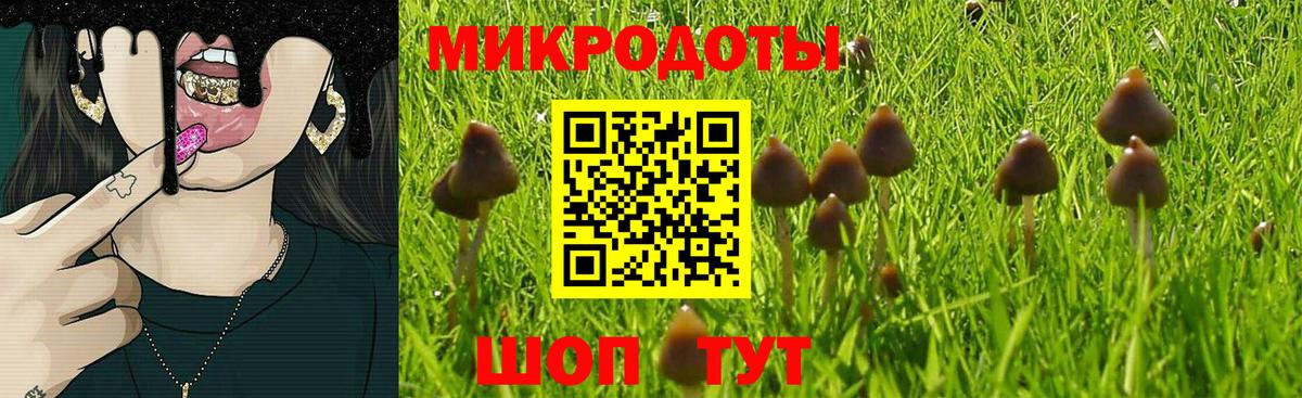 Псилоцибиновые грибы Magic Shrooms Киров